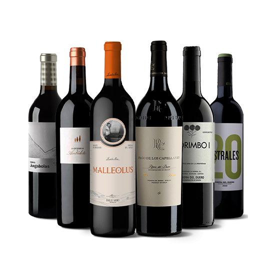 Grands vins Riberas del Duero
