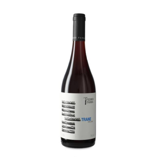 Pedro Parra y Familia Trane...