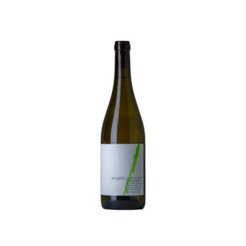 Cati Ribot Ses Gaies 2022