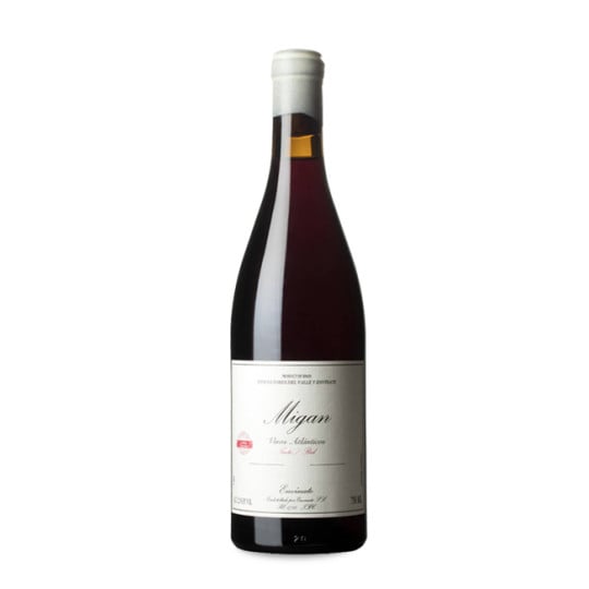 Envínate Migan 2024