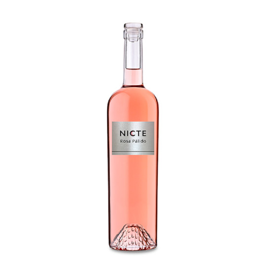 Nicte Rosa Pálido 2025