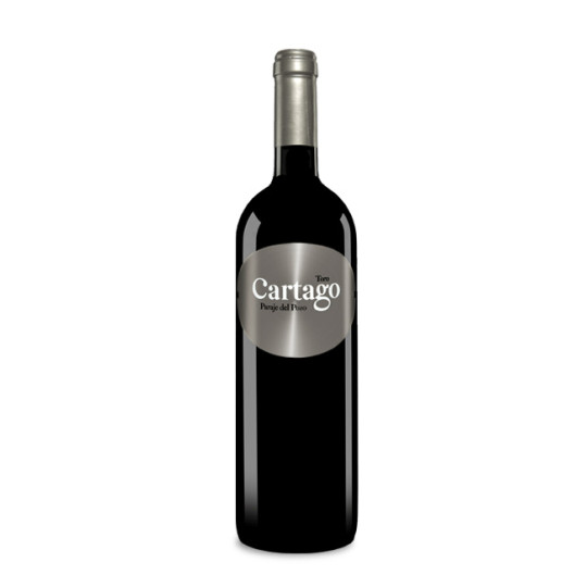 Bodegas y Viñedos San Román...