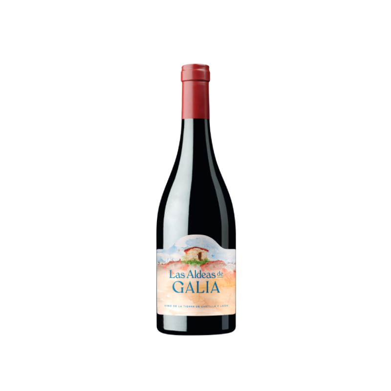 Las Aldeas Galia 2024