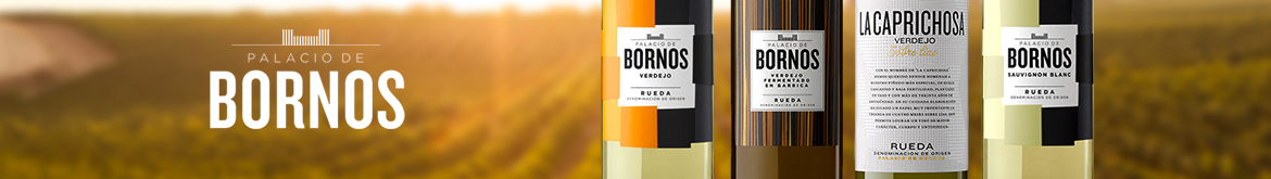 Palacio de Bornos DESKTOP