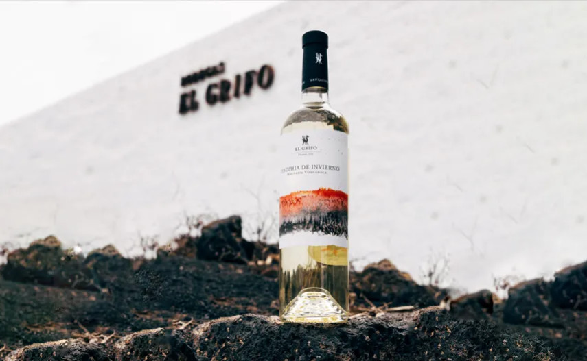 Vendanges en mars : la réponse au changement climatique de Bodegas Grifo