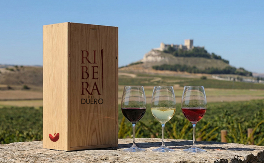 Quel Ribera del Duero vas-tu choisir pour ces fêtes de Noël ?